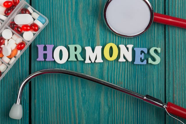 Memahami Hormon, Zat Penting yang Mengatur Hampir Semua Fungsi Tubuh