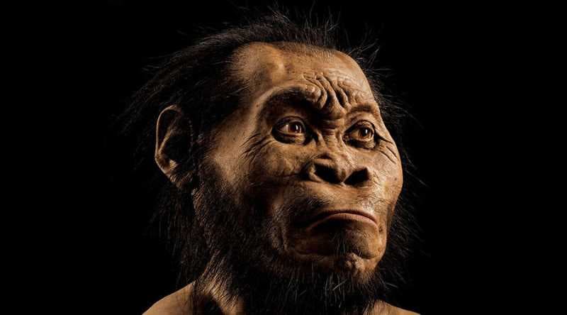 Video 3D Fosil Homo Sapiens Tertua yang Baru Terungkap