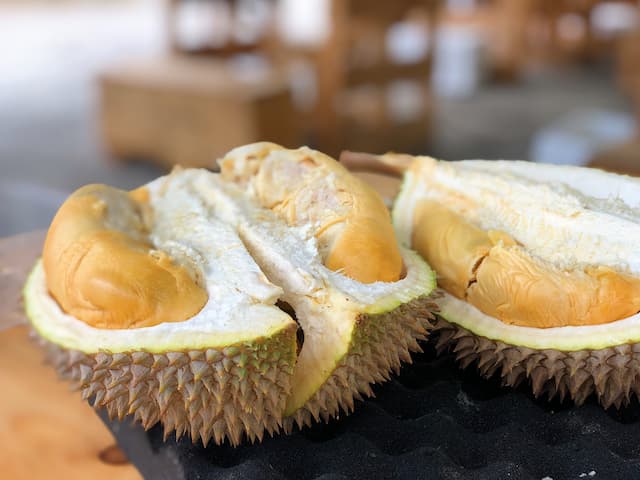 Google Sebut Durian Berasal dari Singapura