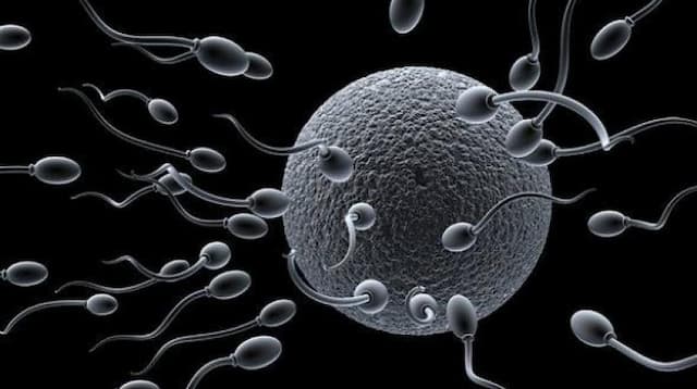 10 Hal yang Bikin Sperma Loyo