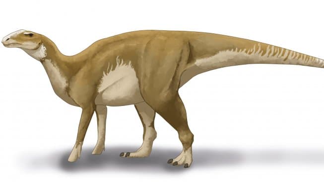 Fosil Dinosaurus Dewa Naga Ditemukan di Jepang