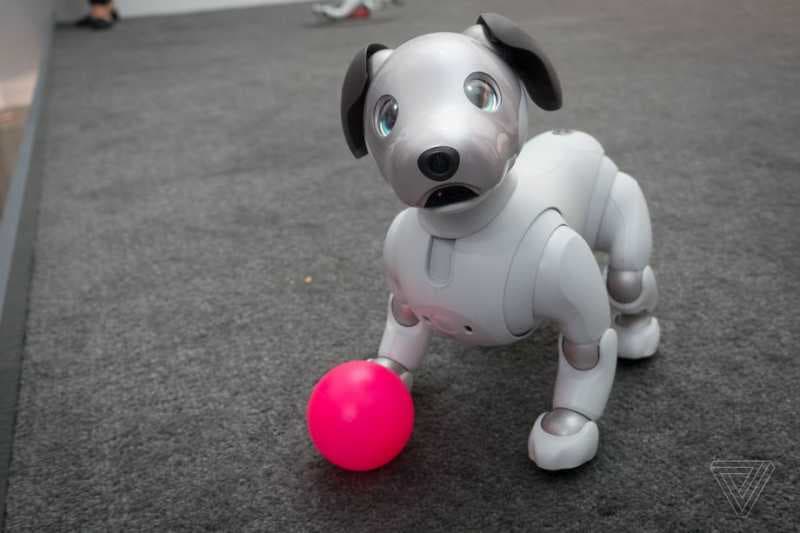 Sony Ciptakan Robot Anjing “Aibo” dengan Teknologi AI