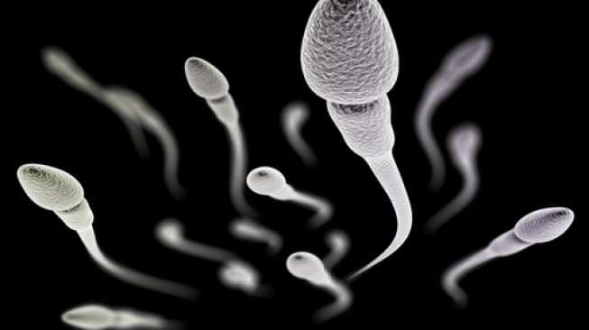 Keren, Aplikasi Ini Bisa Tunjukkan Kualitas Sperma