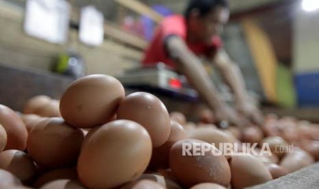 Risiko Menyimpan Telur di Rak Telur Lemari Es