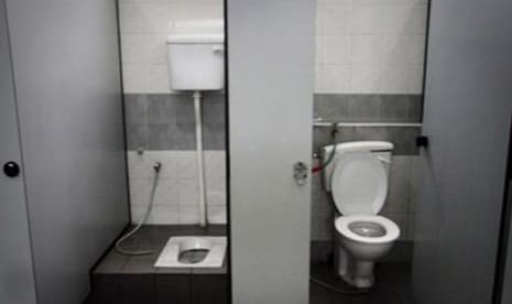Toilet Jongkok atau Duduk, Manakah yang Lebih Baik?