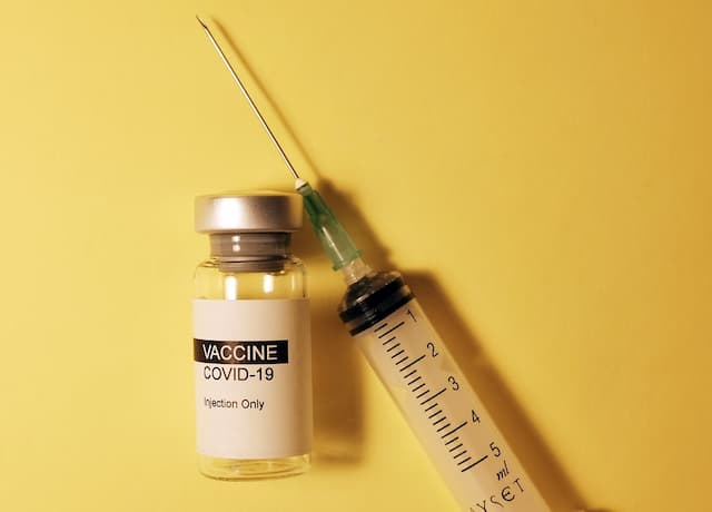 5 Poin Distribusi Vaksin Covid-19 lewat Sistem Informasi Satu Data