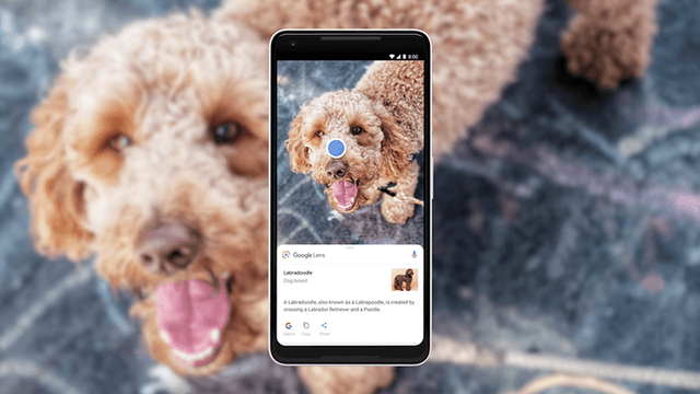 Jadi Fitur Baru di Google Lens, AR Translate Secanggih Apa?