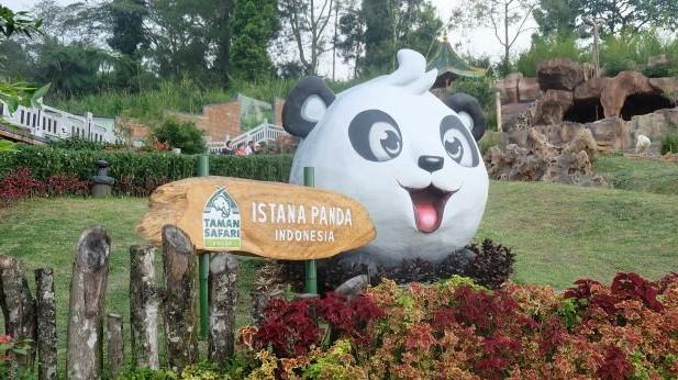 <i>Ngabuburit</i> ke Istana Panda di Taman Safari