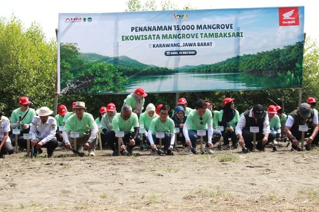 AHM Bangun Rumah Bibit Mangrove Karawang, Bisa Jadi Destinasi Wisata