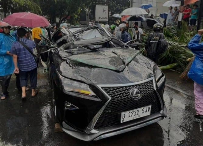 Pilar Lexus Gak Sanggup Nahan Pohon Tumbang, Sopir Tewas!