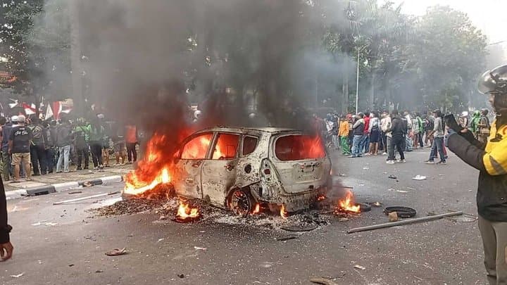 Waspada, Semut Bisa Sebabkan Mobil Kebakaran!
