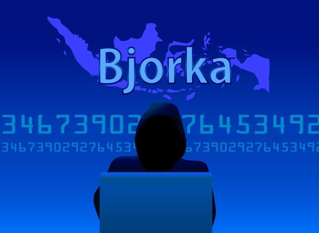 Retas 4,9 Juta Data Bank, Ini Sosok Bjorka yang Ditangkap Polisi