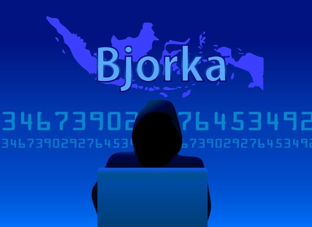 Retas 4,9 Juta Data Bank, Ini Sosok Bjorka yang Ditangkap Polisi