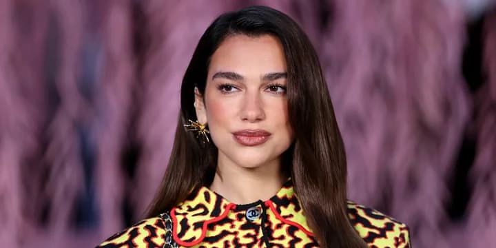 Dua Lipa Gugat Samsung Rp261 Miliar Gegara Foto di Kardus TV