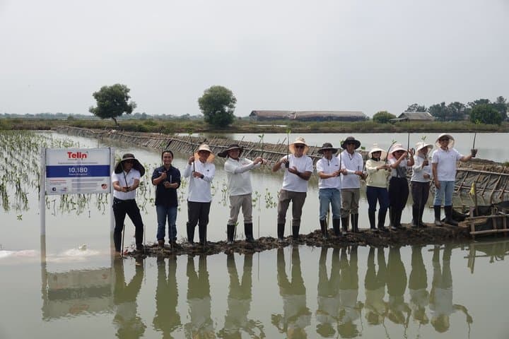 Telin Gelar Aksi Iklim, Tanam 10.180 Mangrove di Tanjung Pakis