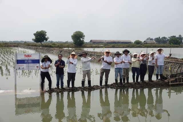 Telin Gelar Aksi Iklim, Tanam 10.180 Mangrove di Tanjung Pakis