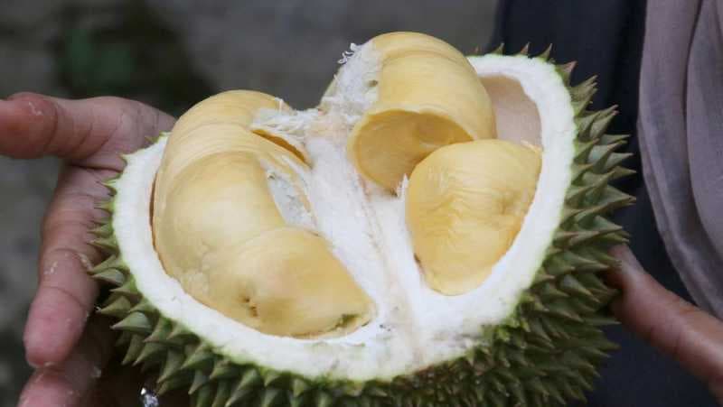 Satu Menit, 80 Ribu Durian Thailand Ludes di Online Shop