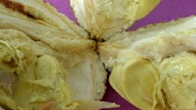 NTB Miliki Varietas Unggulan, Durian Si Gundul Tanpa Duri