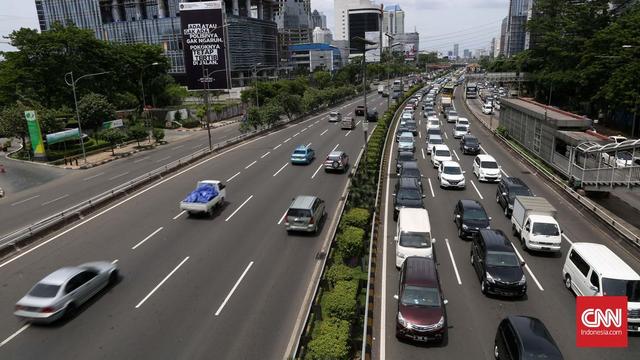 Berkeliaran di Tol Slipi, Ular Piton 2,5 Meter Mati Terlindas