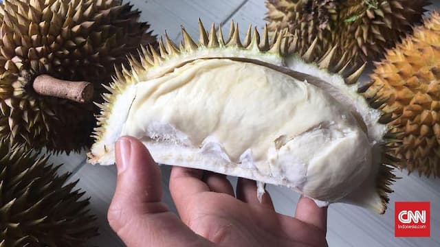 Durian Bikin Gedung Kampus di Australia Harus Dievakuasi