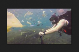 Ini tanggapan KLHK soal video sampah laut Bali unggahan Horner