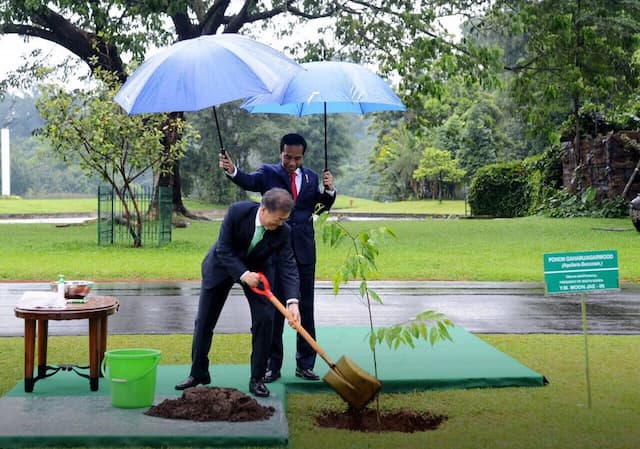 Payungi Presiden Korea Selatan Moon Jae In, Begini Cerita Jokowi