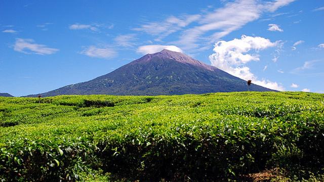 Mahasiswa Tolak Pergantian Nama Gunung Kerinci Jadi Joko Widodo