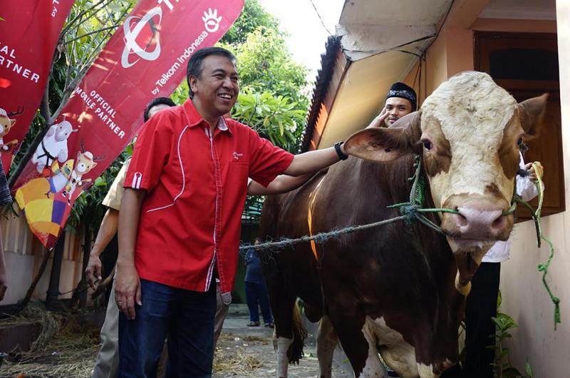 Telkomsel Serahkan Bantuan 740 Ekor Hewan Kurban