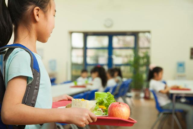 5 Resep Bekal Sekolah Sehat untuk Anak yang Tak Doyan Makan Nasi