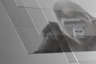 Apple Tambah Investasi Rp639 Miliar untuk Pengembangan Gorilla Glass Apple Tambah Investasi Rp639 Miliar untuk Pengembangan Gorilla Glass