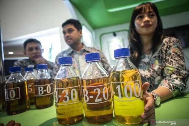Tahun Depan Prabowo Mau Ngegas Biodiesel 50 Persen di Indonesia Tahun Depan Prabowo Mau Ngegas Biodiesel 50 Persen di Indonesia