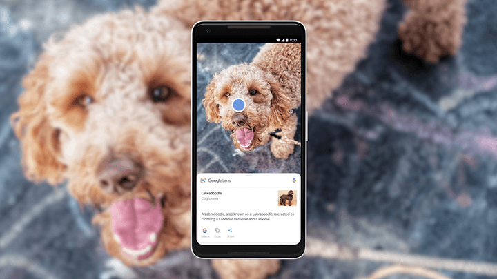 Jadi Fitur Baru di Google Lens, AR Translate Secanggih Apa? Jadi Fitur Baru di Google Lens, AR Translate Secanggih Apa?