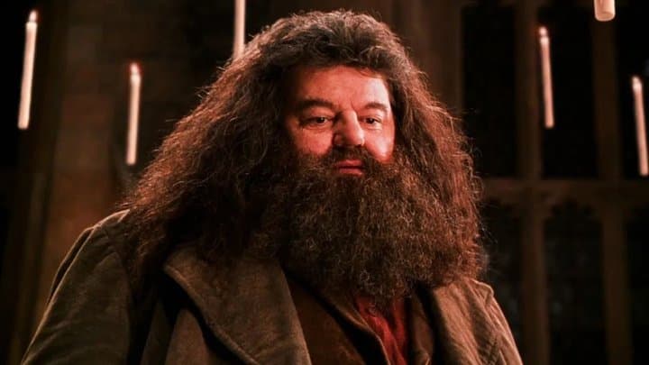 Pemeran Rubeus Hagrid di Harry Potter Meninggal Dunia, Medsos Pun Pecah Pemeran Rubeus Hagrid di Harry Potter Meninggal Dunia, Medsos Pun Pecah
