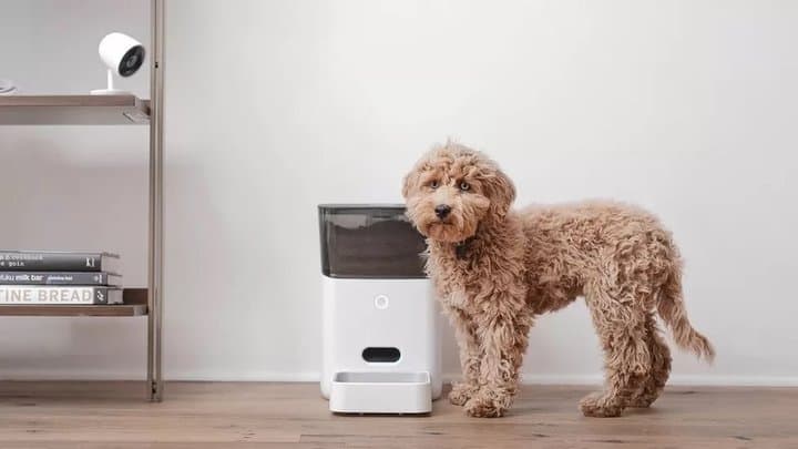 Ngeri, Serangan Siber Juga Bisa Menyusup ke Smart Device Hewan Peliharaan Ngeri, Serangan Siber Juga Bisa Menyusup ke Smart Device Hewan Peliharaan