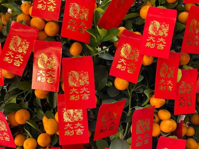 Tahun Baru Imlek 2024, Bagi-bagi Angpao Bisa Pakai 4 Aplikasi Ini Tahun Baru Imlek 2024, Bagi-bagi Angpao Bisa Pakai 4 Aplikasi Ini