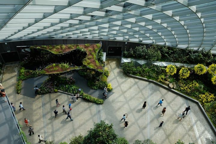 Ibu Kota Baru Bakal Usung Konsep Smart Forest City, Apa Itu? Ibu Kota Baru Bakal Usung Konsep Smart Forest City, Apa Itu?