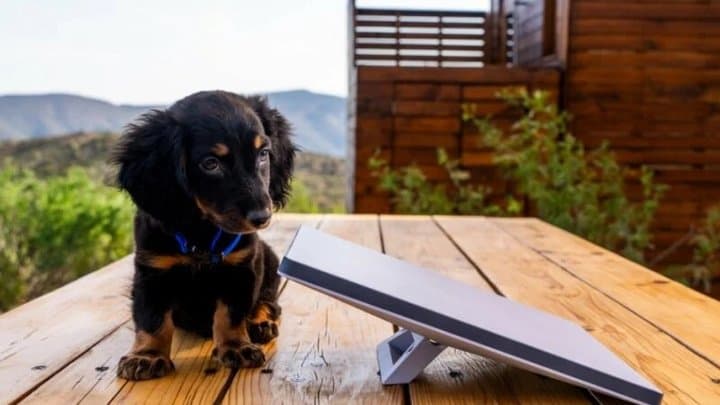 Starlink Rilis Versi Mini, Bodi Lebih Kecil dan Harga Lebih Murah Starlink Rilis Versi Mini, Bodi Lebih Kecil dan Harga Lebih Murah