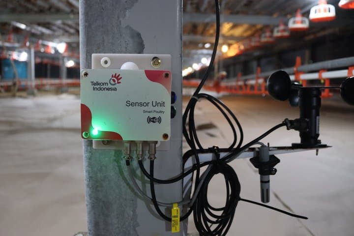 Antares Telkom Digitalisasi Peternakan, Ini Deretan Manfaatnya Antares Telkom Digitalisasi Peternakan, Ini Deretan Manfaatnya