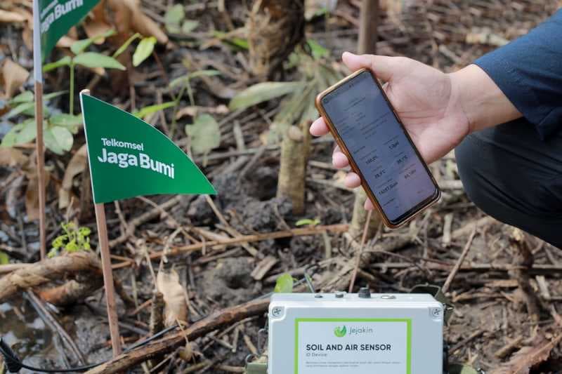 Rangkul Startup Jejak.in, Telkomsel Tanam 15 Ribu Pohon Mangrove