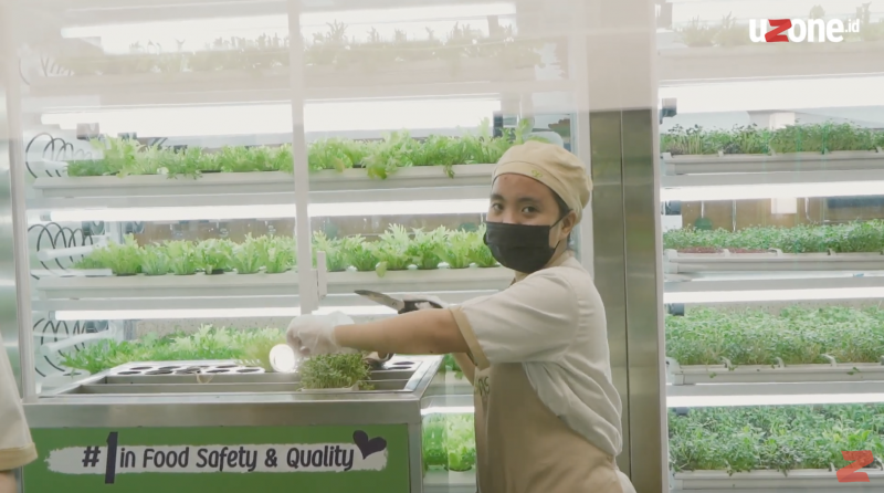 VIDEO: GREENS Metafarm, Perkebunan Sayur Canggih di Tengah Mal