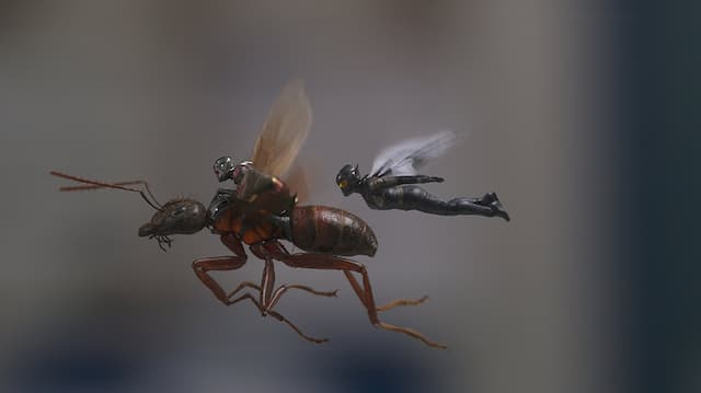 Review: ‘Ant-Man and the Wasp’, Pelipur Lara Usai Drama Thanos dengan Minim Aksi Heroik