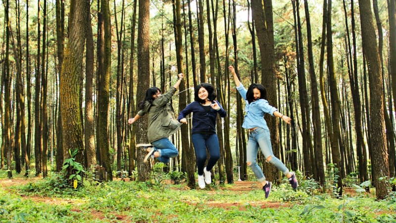 Taman Wisata Gunung Pancar, Objek Tamasya Kekinian di Bogor