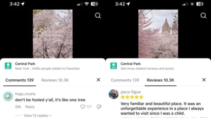 Terus Saingi Google, TikTok Uji Coba Fitur Pencarian Baru Terus Saingi Google, TikTok Uji Coba Fitur Pencarian Baru