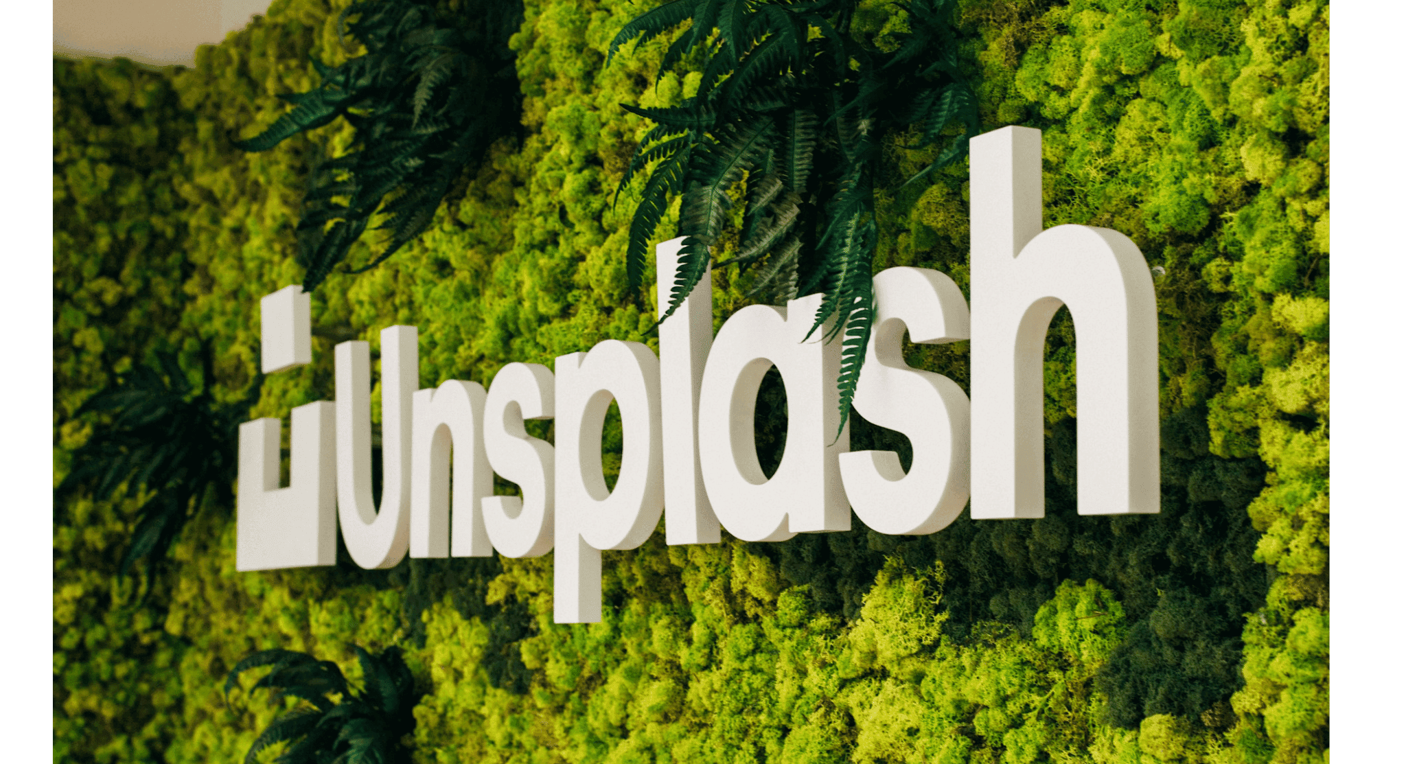 Cara Download Unsplash Image HD Gratis, Mudah! Cara Download Unsplash Image HD Gratis, Mudah!