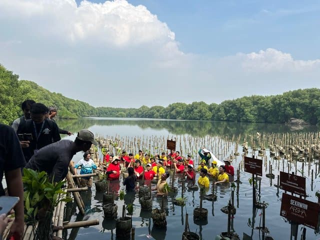 Maxim Indonesia Gaet Kementerian Lingkungan Tanam 700 Bibit Mangrove
Maxim Indonesia Gaet Kementerian Lingkungan Tanam 700 Bibit Mangrove