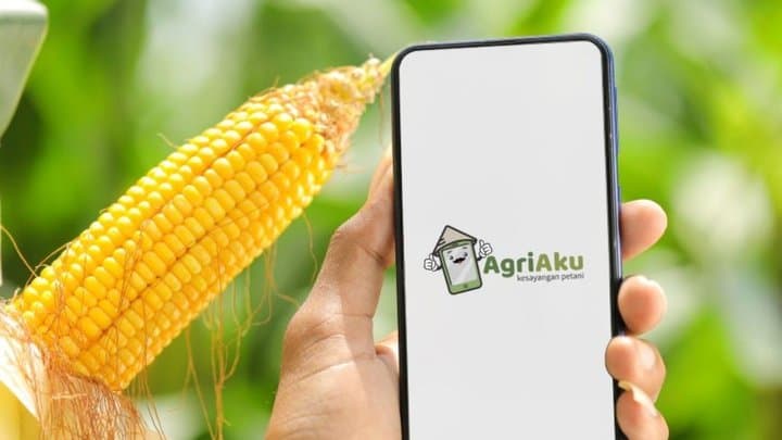Startup AgriAku dan Beleaf Layoff 30 Persen Karyawan Startup AgriAku dan Beleaf Layoff 30 Persen Karyawan