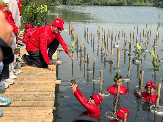 Hasil Lari Peserta Digiland Run Hasilkan 26 Ribu Pohon untuk Ditanam Hasil Lari Peserta Digiland Run Hasilkan 26 Ribu Pohon untuk Ditanam