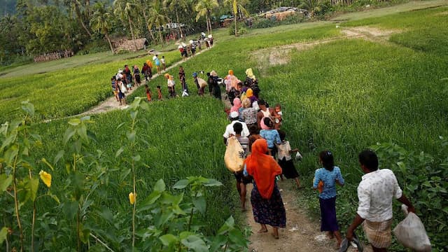 Halau Rohingya, Myanmar Tanam Ranjau di Perbatasan Bangladesh