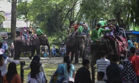 Kebun Binatang Surabaya Gelar Pesta Tunggang Satwa