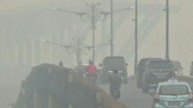Satgas Kebakaran Hutan dan Lahan Dibentuk Atasi Kabut Asap di Riau